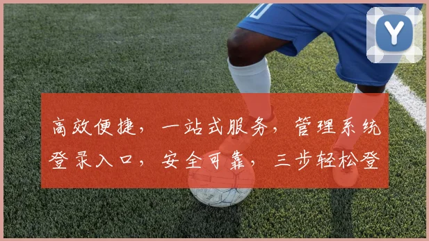 高效便捷，一站式服务，管理系统登录入口，安全可靠，三步轻松登录，体验非凡