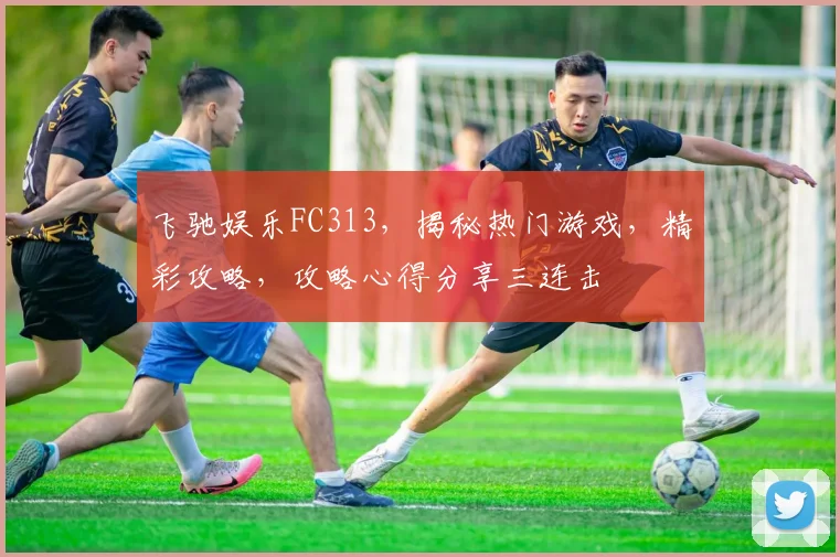 飞驰娱乐FC313，揭秘热门游戏，精彩攻略，攻略心得分享三连击