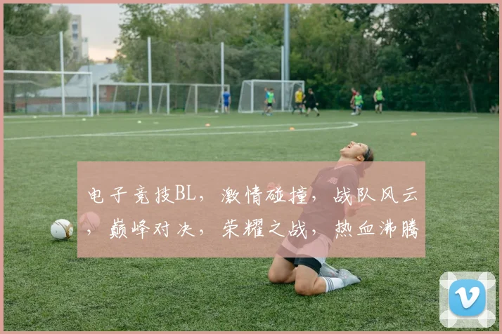 电子竞技BL，激情碰撞，战队风云，巅峰对决，荣耀之战，热血沸腾