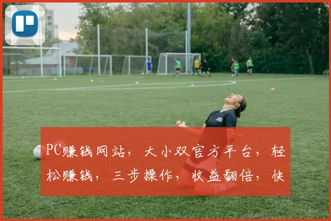 PC赚钱网站，大小双官方平台，轻松赚钱，三步操作，收益翻倍，快来加入