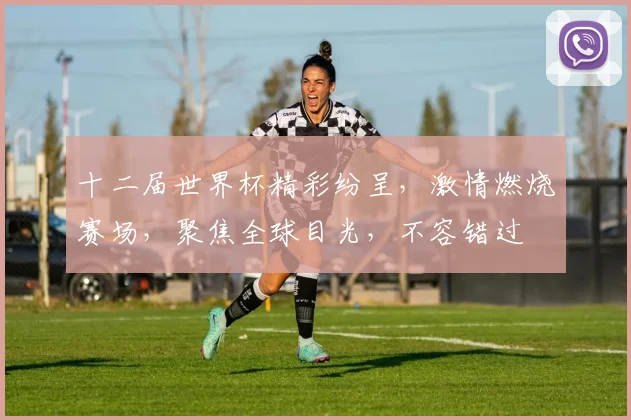 十二届世界杯精彩纷呈，激情燃烧赛场，聚焦全球目光，不容错过