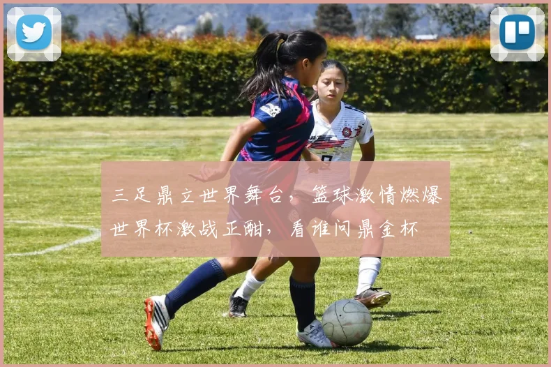 三足鼎立世界舞台，篮球激情燃爆世界杯激战正酣，看谁问鼎金杯